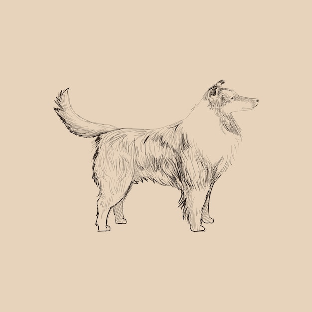 Vector illustration drawing style of dog