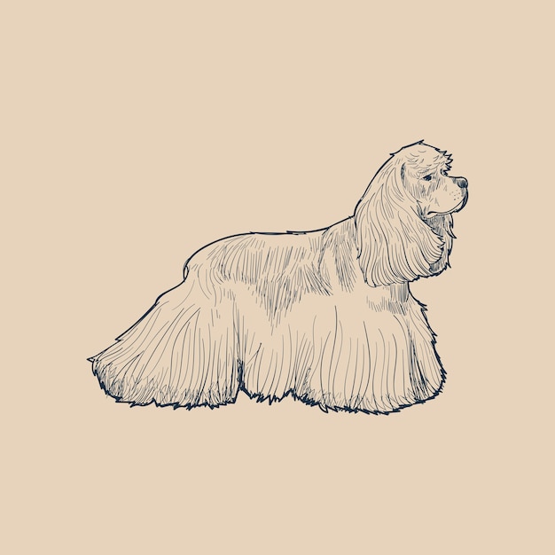 Vector illustration drawing style of dog