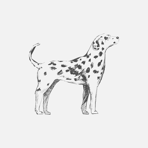 Illustration drawing style of dog