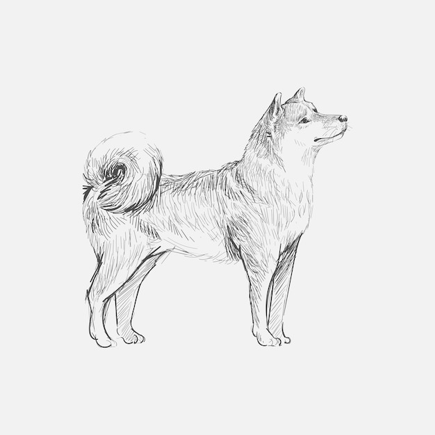 Vettore stile di disegno dell'illustrazione del cane