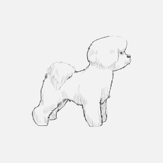 Vector illustration drawing style of dog