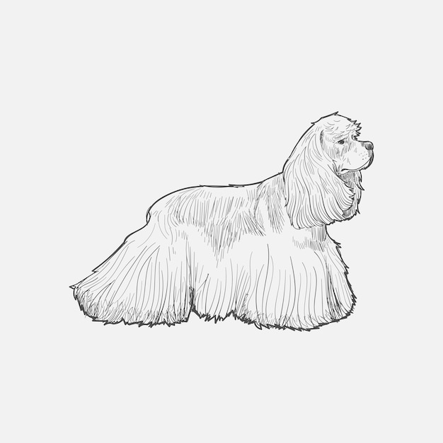 Illustration drawing style of dog