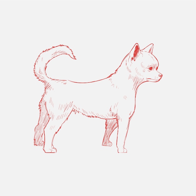 Illustration drawing style of dog