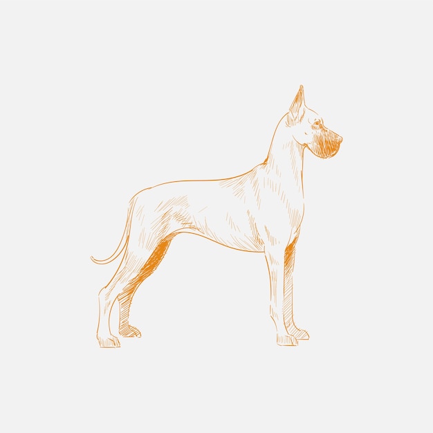 犬のイラストの描画スタイル