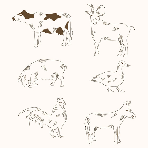 Illustration drawing style of farm animals collection