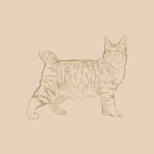 ベクトル 猫のイラストの描画スタイル