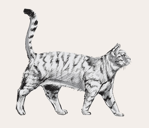 猫のイラストの描画スタイル