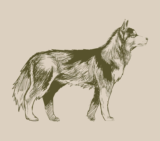 犬のイラストの描画スタイル