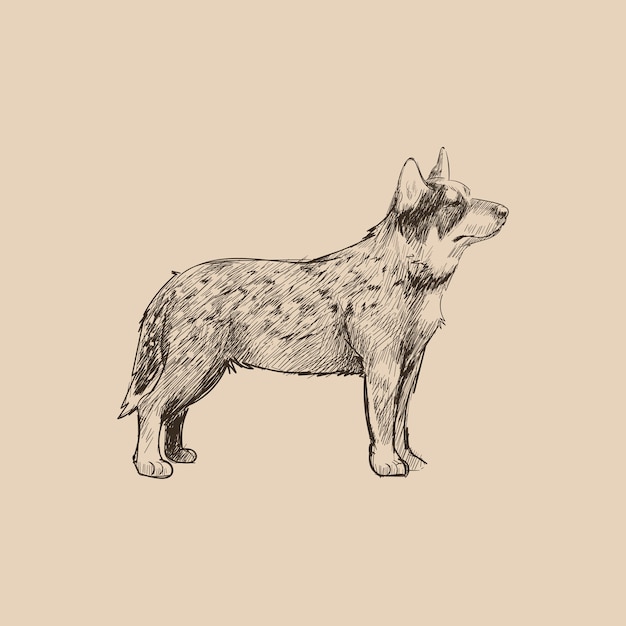 Вектор Стиль рисунка рисунка собаки