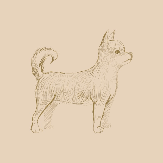 犬のイラストの描画スタイル