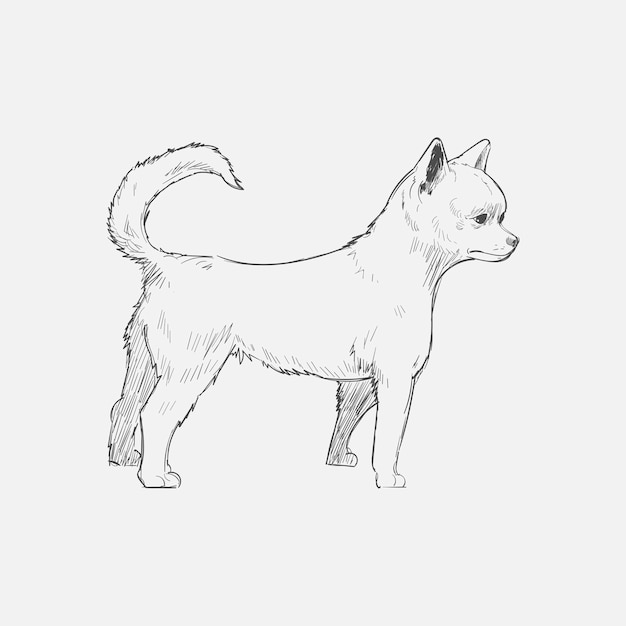 犬のイラストの描画スタイル