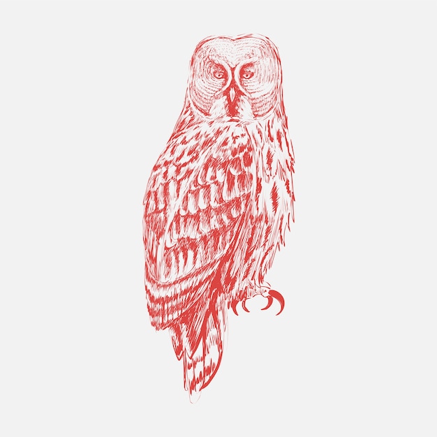 フクロウのイラストの描画スタイル