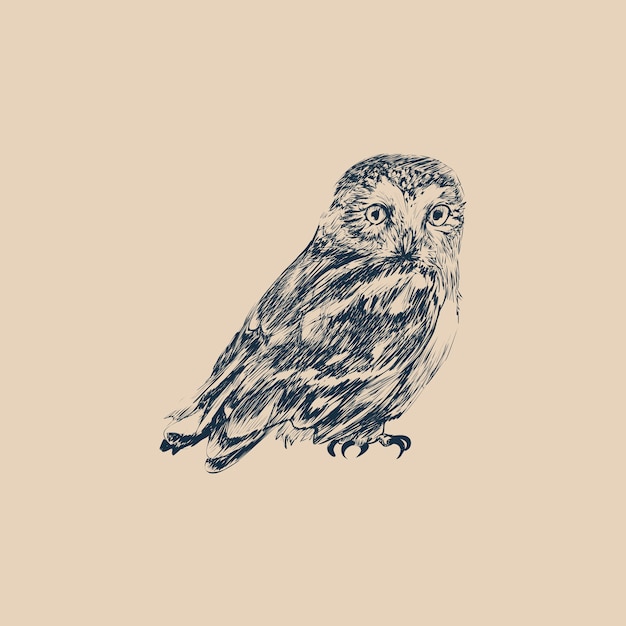 Illustration drawing style of owl