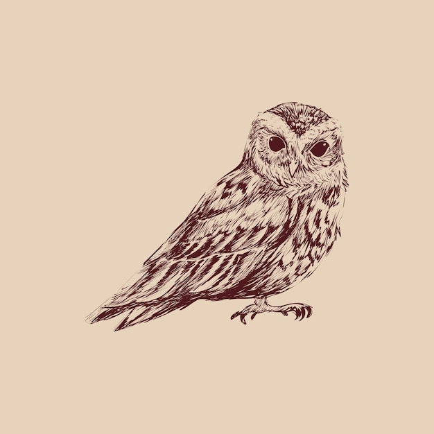 フクロウのイラストの描画スタイル