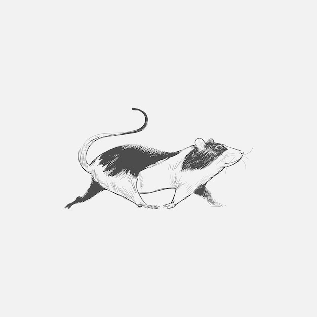 Иллюстрация рисунка стиля крысы