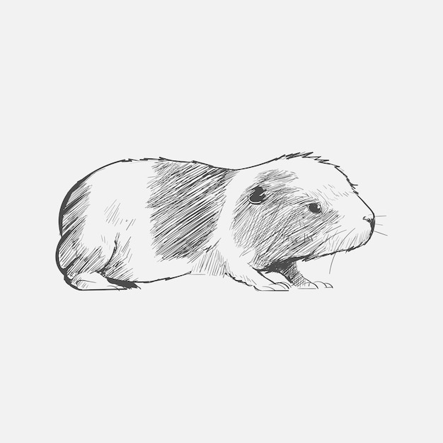 Stile di disegno illustrazione di ratto