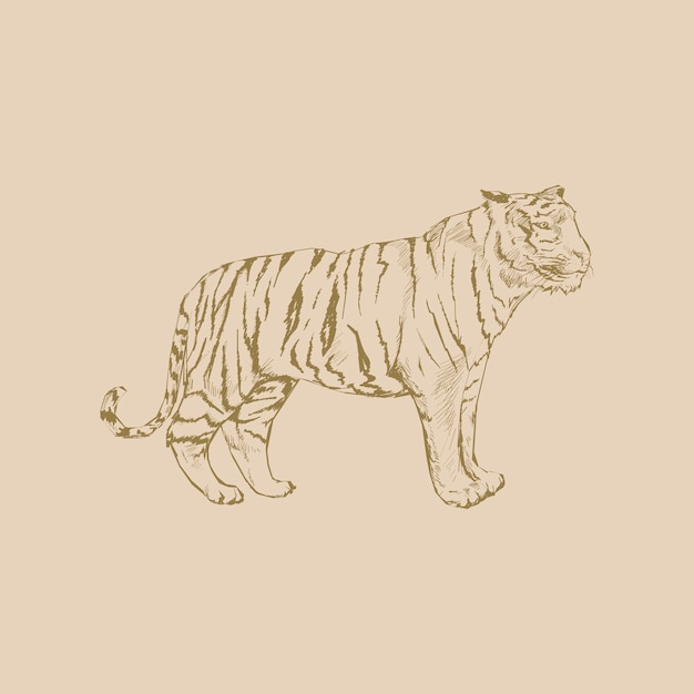 Vettore stile di disegno dell'illustrazione della tigre