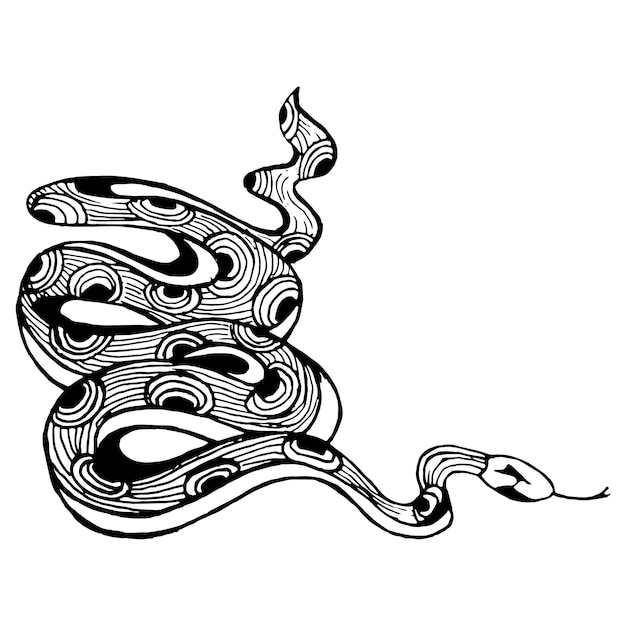 Illustration of a drawn stylized cobra snake, decorated with ornaments. Sketch. Tattoo.
