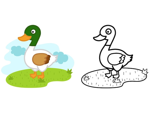 Illustration of educational coloring book animal duck vector