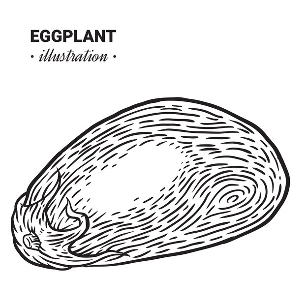 Vector an illustration of an egg with the word egg on it