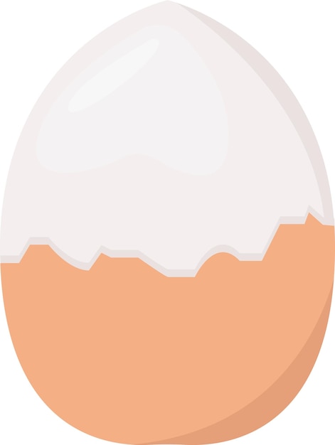 Illustration of egg