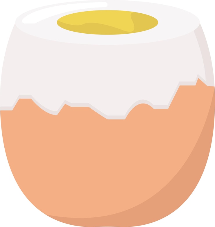 Vector 卵のイラスト
