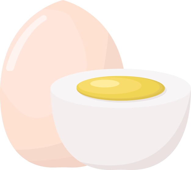 Illustration of egg