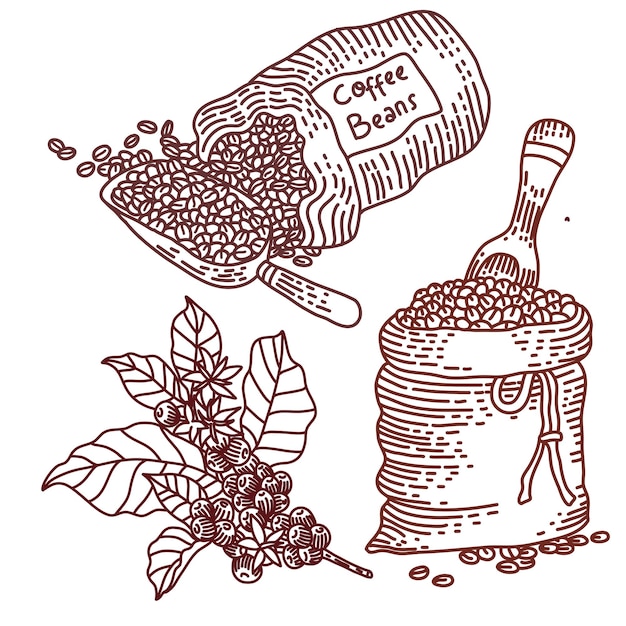 illustration element of coffee beans in sacks and coffee leaves