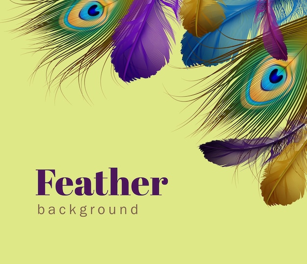  illustration of exotic feathers template with space for text on light green background