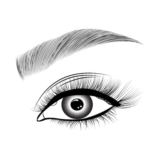 illustration of eye