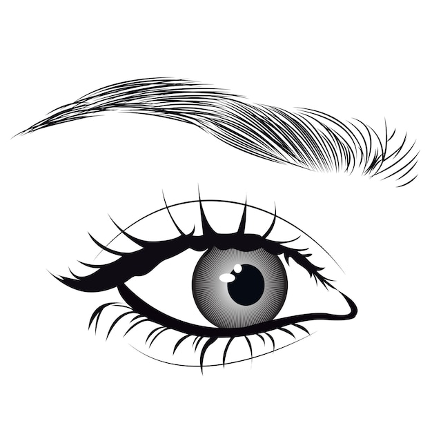 illustration of a eye