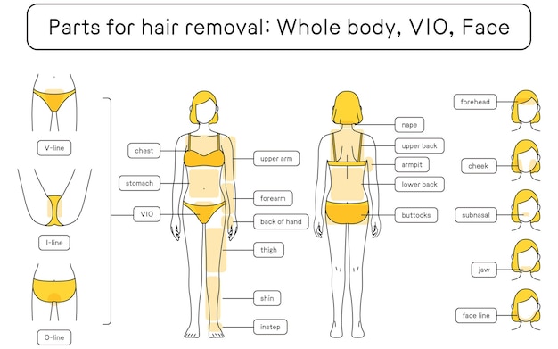 Vector illustration of female hair removal full body vio face