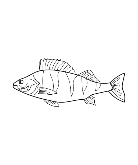 Illustration of a fish line art on white