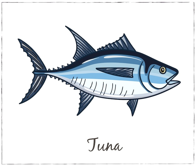 Vector illustration of fish tuna isolated on white