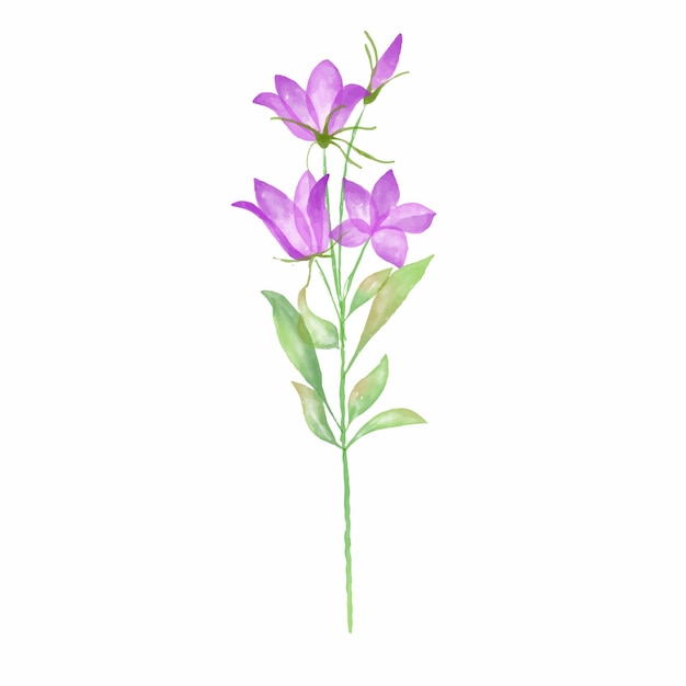 イラスト 花の水彩ベクトル