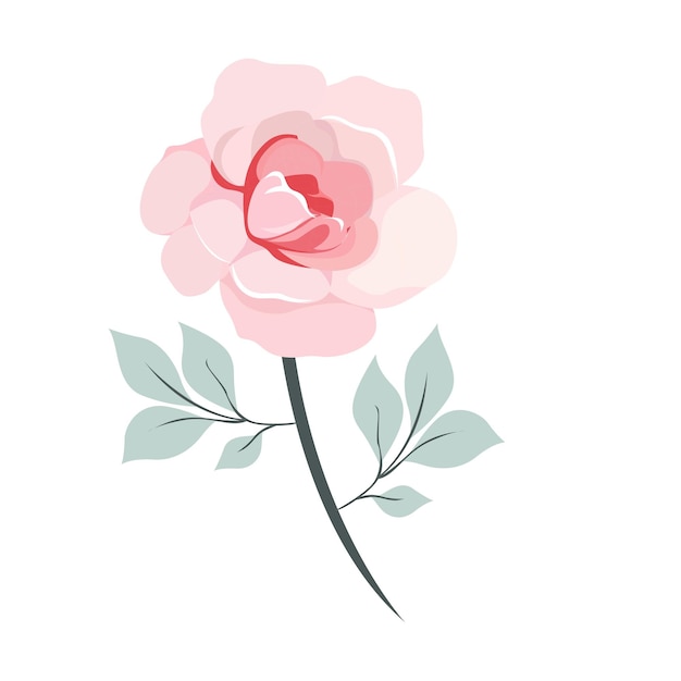 Vector illustration flower