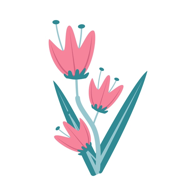 illustration of flower
