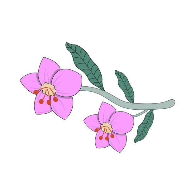 Vector illustration of flower