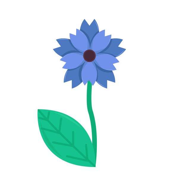 Illustration of flower