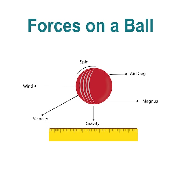 Vector illustration of forces acting on a ball