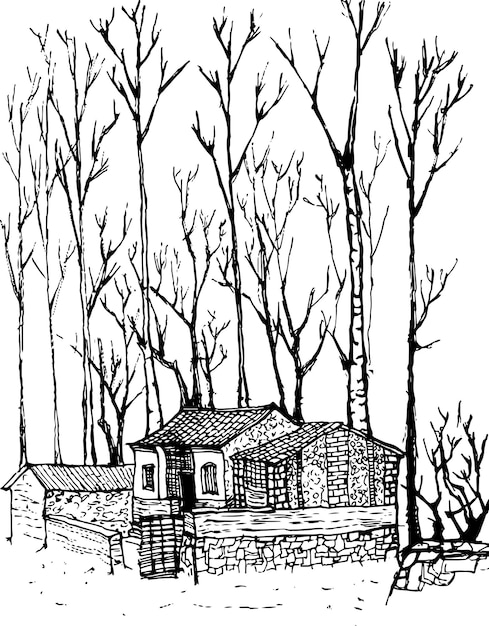 illustration of forest with ancient asian house .