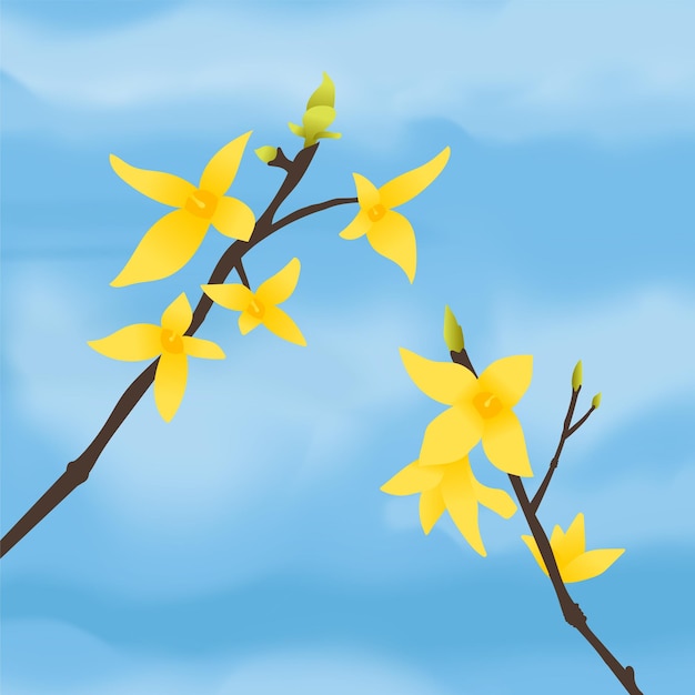 an illustration of forsythia