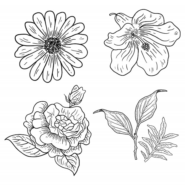 Illustration of four classic flowers