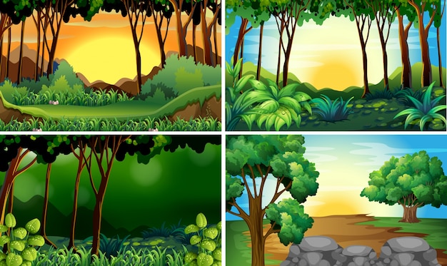 Illustration of four different scene of forests