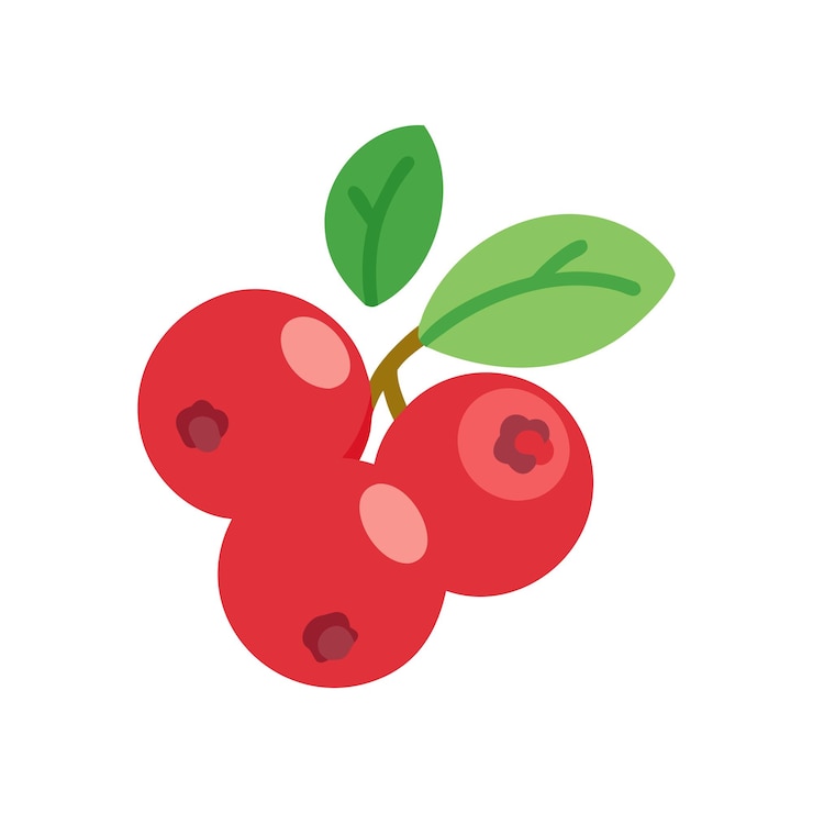 Vector 신선한 과일 개념의 설명