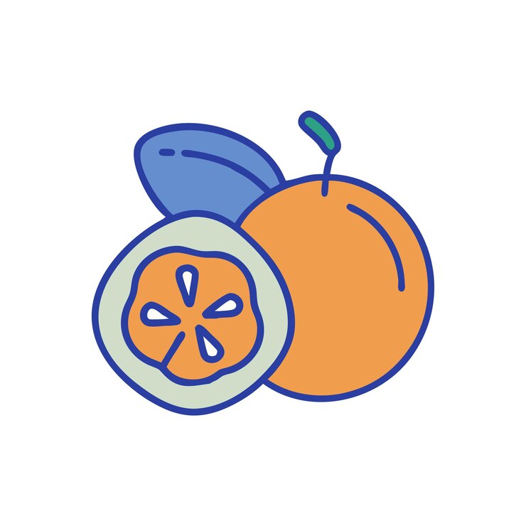 Vector 신선한 과일 개념의 설명