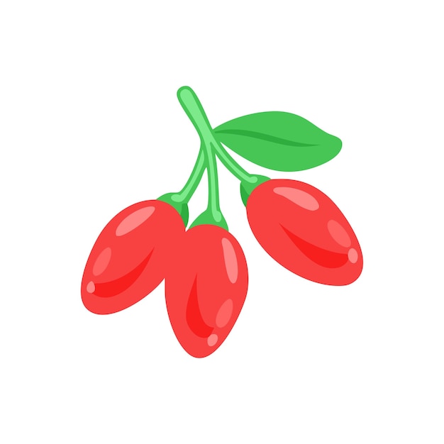 illustration of fresh fruit concept