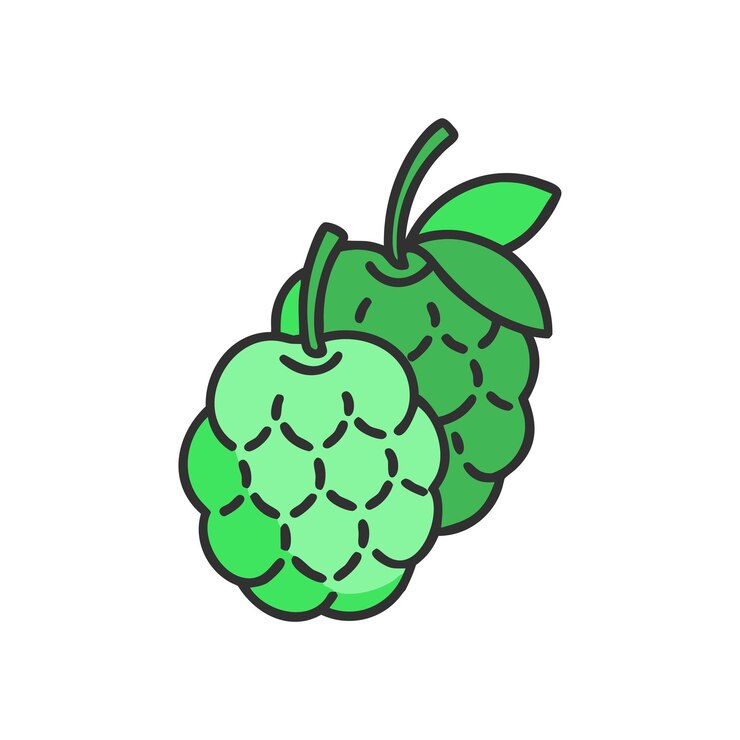 Vector illustration of fresh fruit concept
