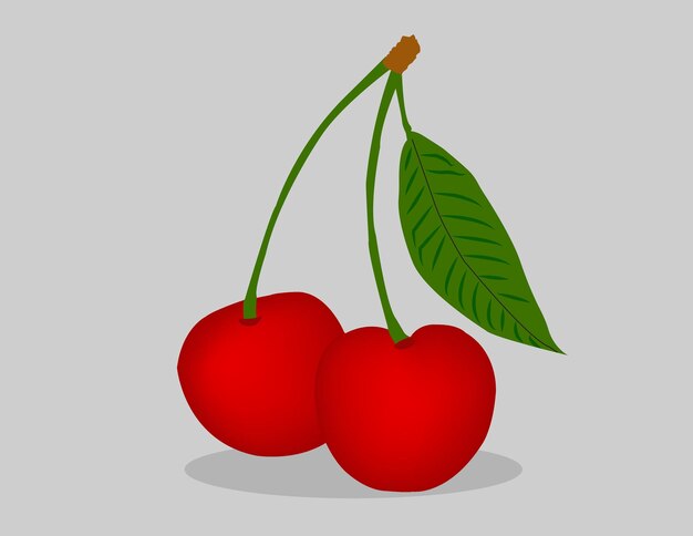 Illustration of fresh red juicy cherry twig on a branch