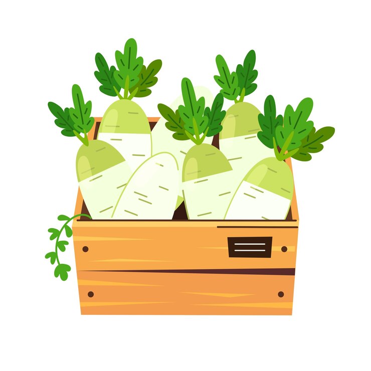 Vector illustration of fresh vegetables in a box